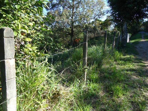 Imagem 7 de 14 de Terreno Residencial À Venda, Itacorubi, Florianópolis. - Te0212