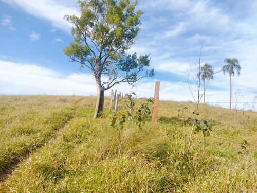 Imagem 10 de 11 de V03 Residencial De Chácaras Em Santa Isabel (área Arborizada) Terreno De 1000m²