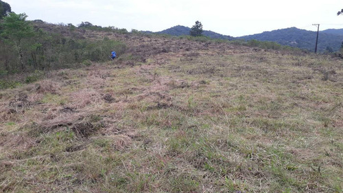 Imagem 9 de 10 de Sítio / Chácara Para Venda Em São José Dos Pinhais, Área Rural De São José Dos Pinhais - 112_2-1247302
