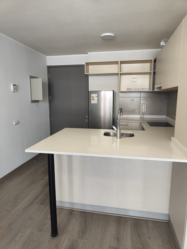 Arriendo Departamento 1 D 1 B Bod Y Terraza Semi Amoblado