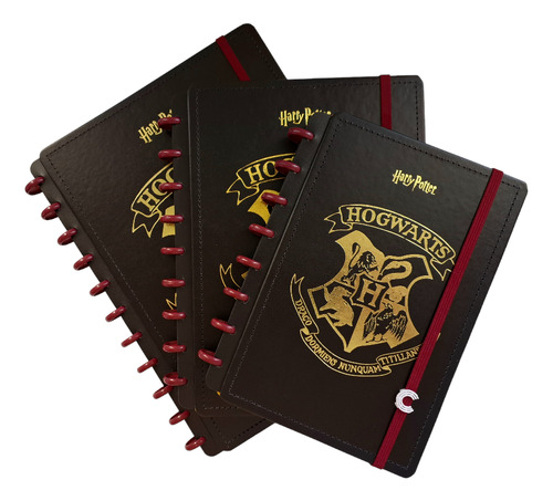 Caderno Inteligente Ci Harry Potter - Tamanho Grande