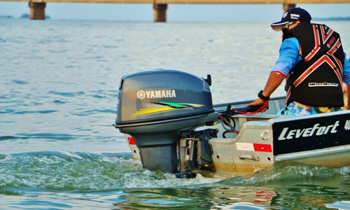 Motor De Popa Yamaha 40 Amhs - Manual