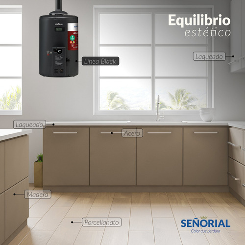 Termotanque Multigas Señorial Tsbg-50 Black 2.0 Carga Sup/in Negro