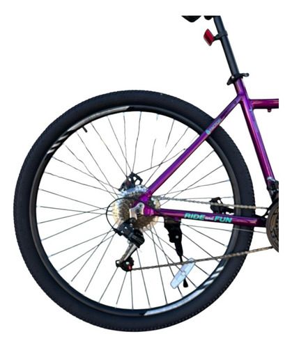 Bicicleta Mtb Gravity Dabomb Rodado 29 21 Dama