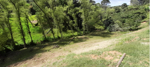 Hermoso Lote De Oportunidad En Venta Con Excelente Ubicación Rionegro