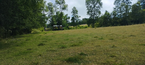 Parcela 1 Hectárea Con Casa Construida Un 60 %