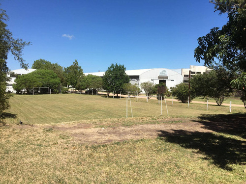 Venta Local Industrial Paso De La Arena - Avenida Islas Canarias