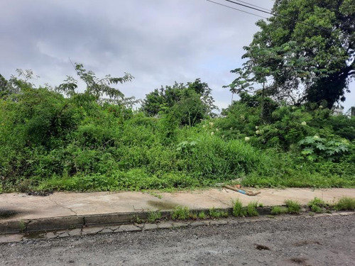 Imagem 3 de 6 de Terreno Com Escritura Em Mongaguá - 705