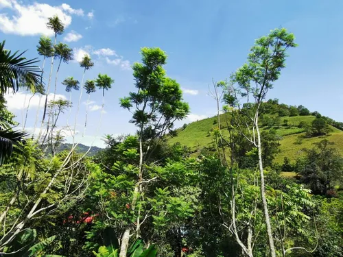 Venta De Finca En Vereda Burocaima
