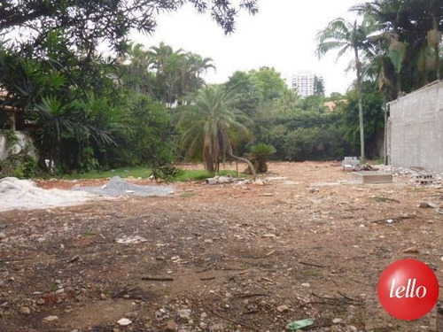 Terreno - Ref: 211831