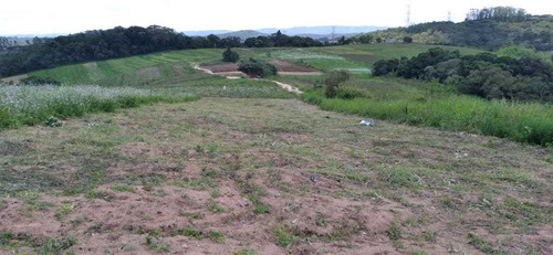 Imagem 8 de 14 de 06: Terrenos Em Cotia