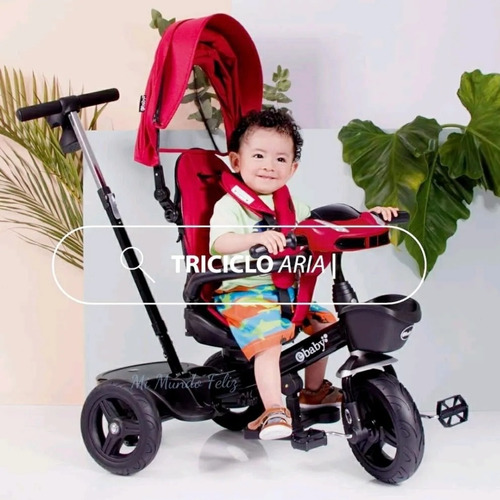 Triciclo Evolutivo Usb Para Niños Ebaby Multifuncional