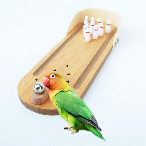Bird Iq Educación Parrot Cockatiel
