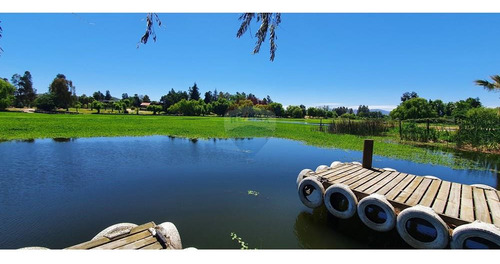 Excelente! A Orilla De Lago Rapel 8850 M2 Terreno