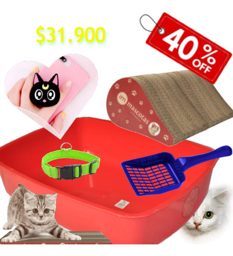 Super Oferta Kit Alhajar Tu Gato Todo En Uno