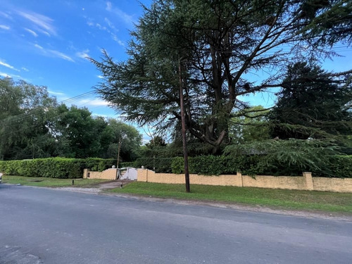 Imagen 2 de 16 de Terreno En Venta En Bella Vista