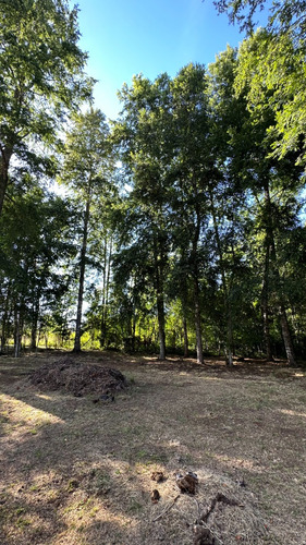 Parcela Urbana En Venta, Gorbea