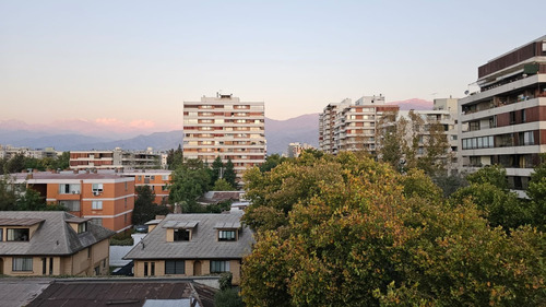 Hermoso Departamento Remodelado En Excelente Sector De Ñuñoa