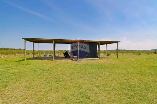 Venta De Casa Terraza De La Laguna, 3 Dormitorios