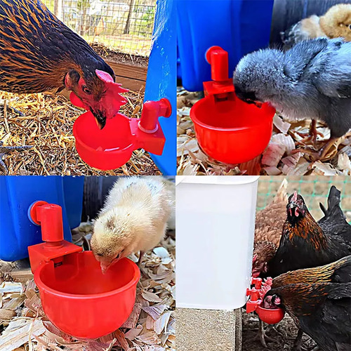 Kit De Riego Automático De 10 Unidades Para Pollos Y Patos
