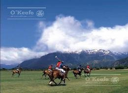 Imagen 5 de 10 de Terreno En Venta Vista Lago En Arelauquen Golf Country Club- Bariloche!