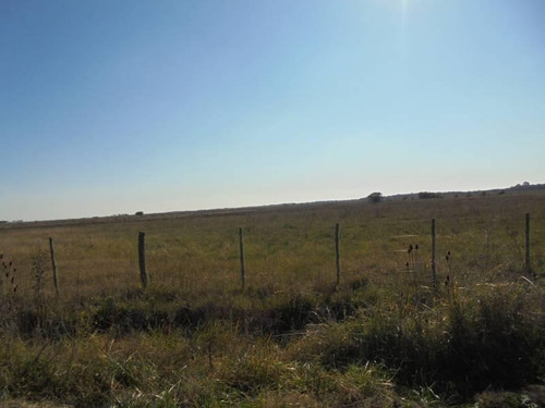 Imagen 5 de 8 de Campo - Punta Indio