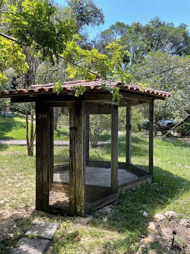 Imagem 5 de 20 de Lindo Sitio Na Estrada Italia Com Mais De 40 Arvores Frutíferas - Ca0405