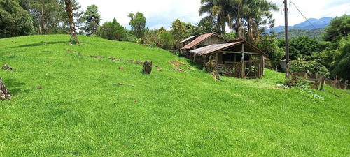 Imagem 5 de 15 de Chácara Para Venda Em São José Dos Pinhais, Área Rural De São José Dos Pinhais - Cha6607_1-2422868