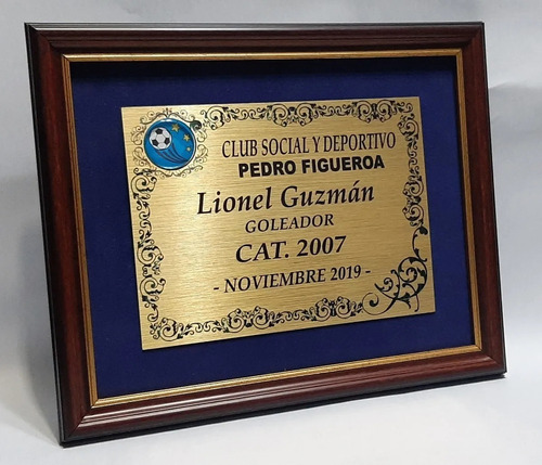 Plaqueta Cuadro Premio Reconocimiento Conmemoracion Homenaje