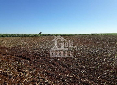 Fazenda À Venda, Com 160 Alqueires Por R$ 40.000.000 - Zona Rural - Tupaciguara/mg - Fa0138