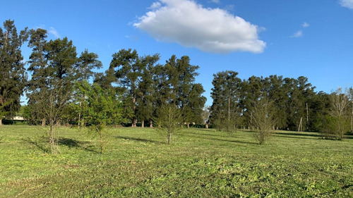 Imagen 6 de 6 de Terreno En Venta En Cañuelas