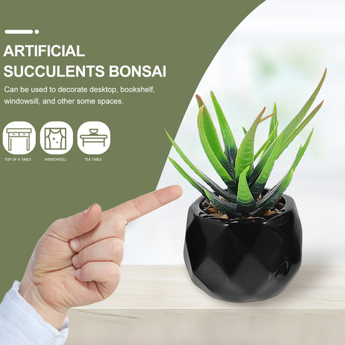Escritorio En Maceta De Suculentas Simulaciones De Cactus Fa