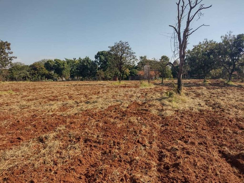 Imagem 4 de 6 de Venda De Rural / Chácara Na Cidade De Araraquara 11340