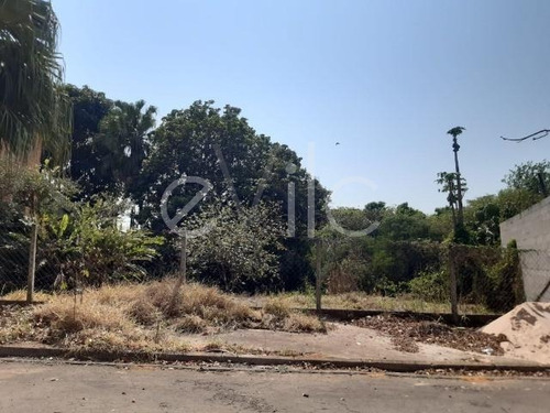 Terreno À Venda Em Bairro Das Palmeiras - Te008416