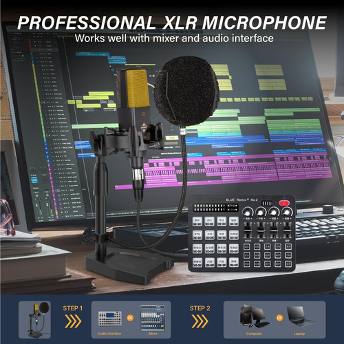 Micrófono Proar Xlr Podcast Professional Cardioid Studio 25