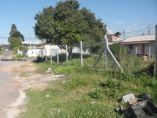 Terreno Para Venda Em São José Dos Pinhais, São Sebastião - 00290_2-1143810