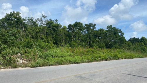 Imagen 2 de 13 de Terreno Venta Cancun Doctores 2500m2