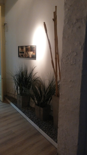 Gran Local Comercial En El Centro