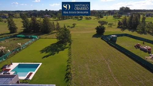 Lote Grande Al Golf En Medal