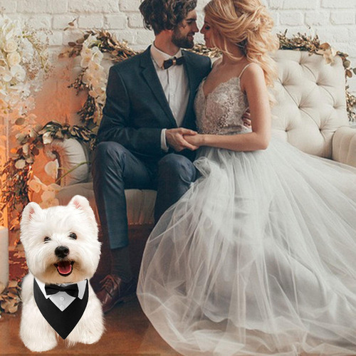 Pajarita Para Perro Collar De Perro Para Boda Collar De Paja