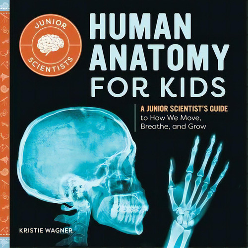 Human Anatomy For Kids : A Junior Scientist's Guide To How We Move, Breathe, And Grow, De Kristie Wagner. Editorial Rockridge Press, Tapa Blanda En Inglés
