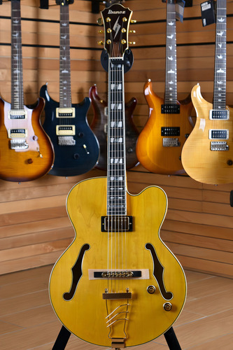 Guitarra Electrica Hollow Ibanez Pm2aa Pat Metheny