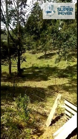 Imagem 9 de 19 de Chácara A Venda No Bairro Centro Em Morro Redondo - Rs. - 1361-1