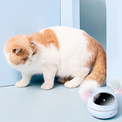 Puntero Láser, Juguete Láser Con Luz Led Para Gatos, Con Inf