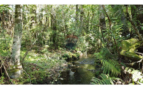 Plot In Pucón, Los Riscos Safe Investment