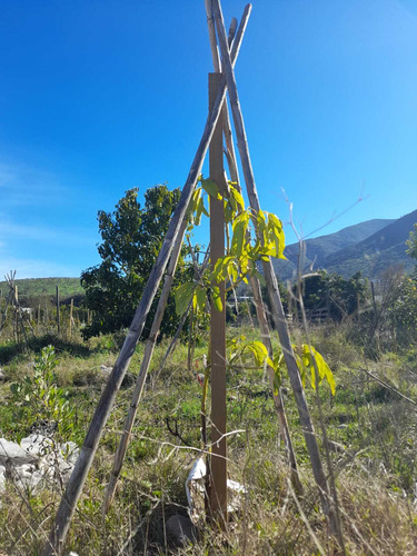 ¡venta De Parcela En El Boco, Quillota! (36476)