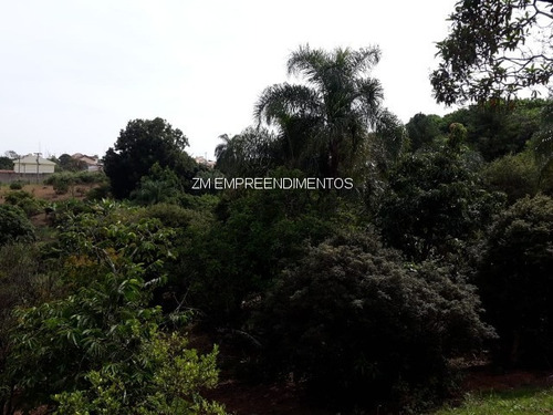 Imagem 19 de 22 de Chacara - Ch00027 - 34502647