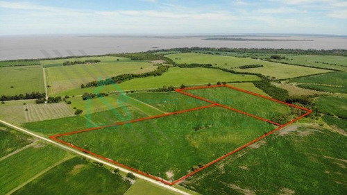 Imagen 5 de 13 de Martin Chico, Colonia - Campo Agricola Con Vista Al Rio De La Plata