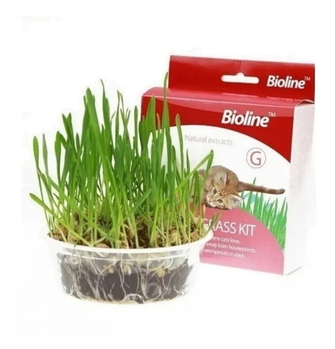 Juguete Gato Cat Grass Hierba Gatera Catnip Pasto Bioline Cs