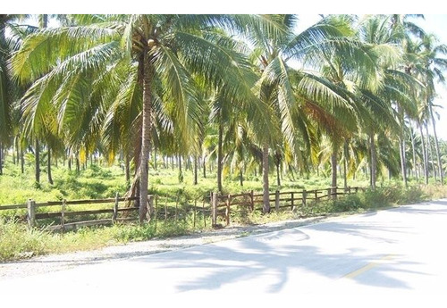 Terreno En Venta En Barra De Pichy